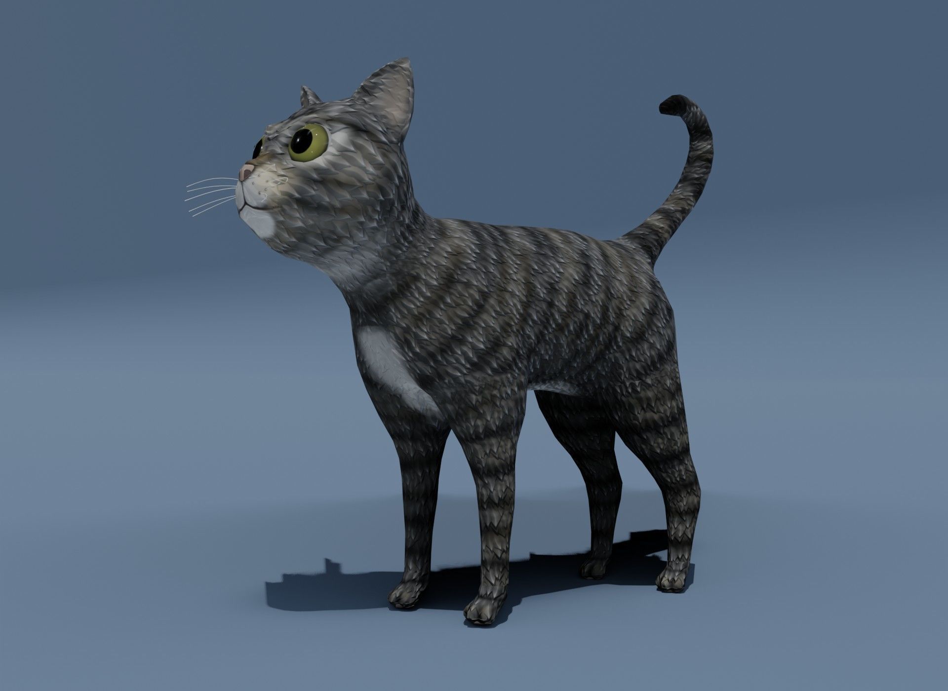Cartoon Cat Brown Grey Striped 3D Model Low-poly 3D model_11