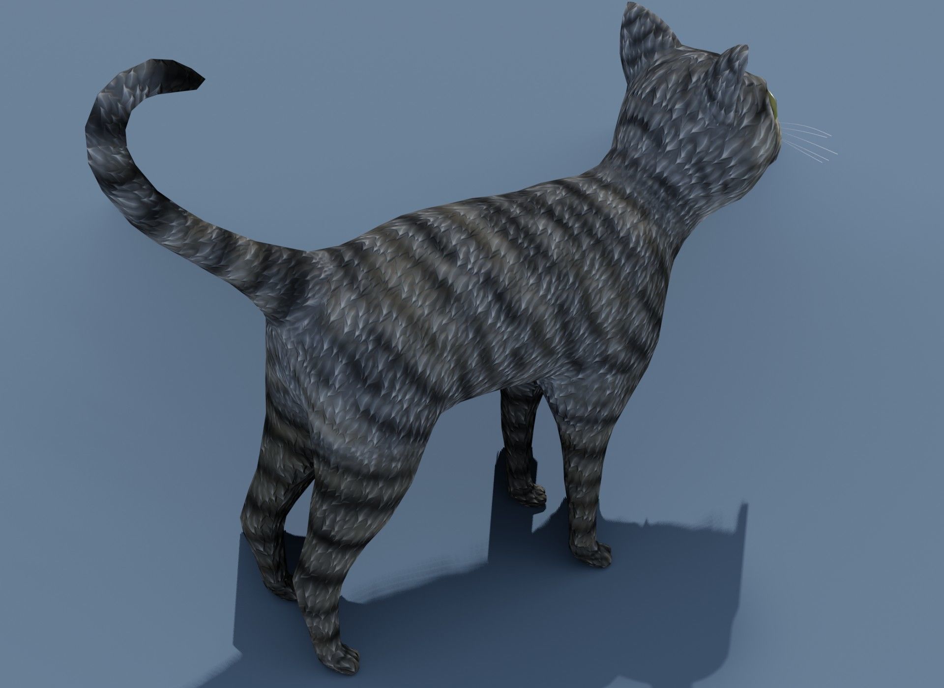Cartoon Cat Brown Grey Striped 3D Model Low-poly 3D model_14