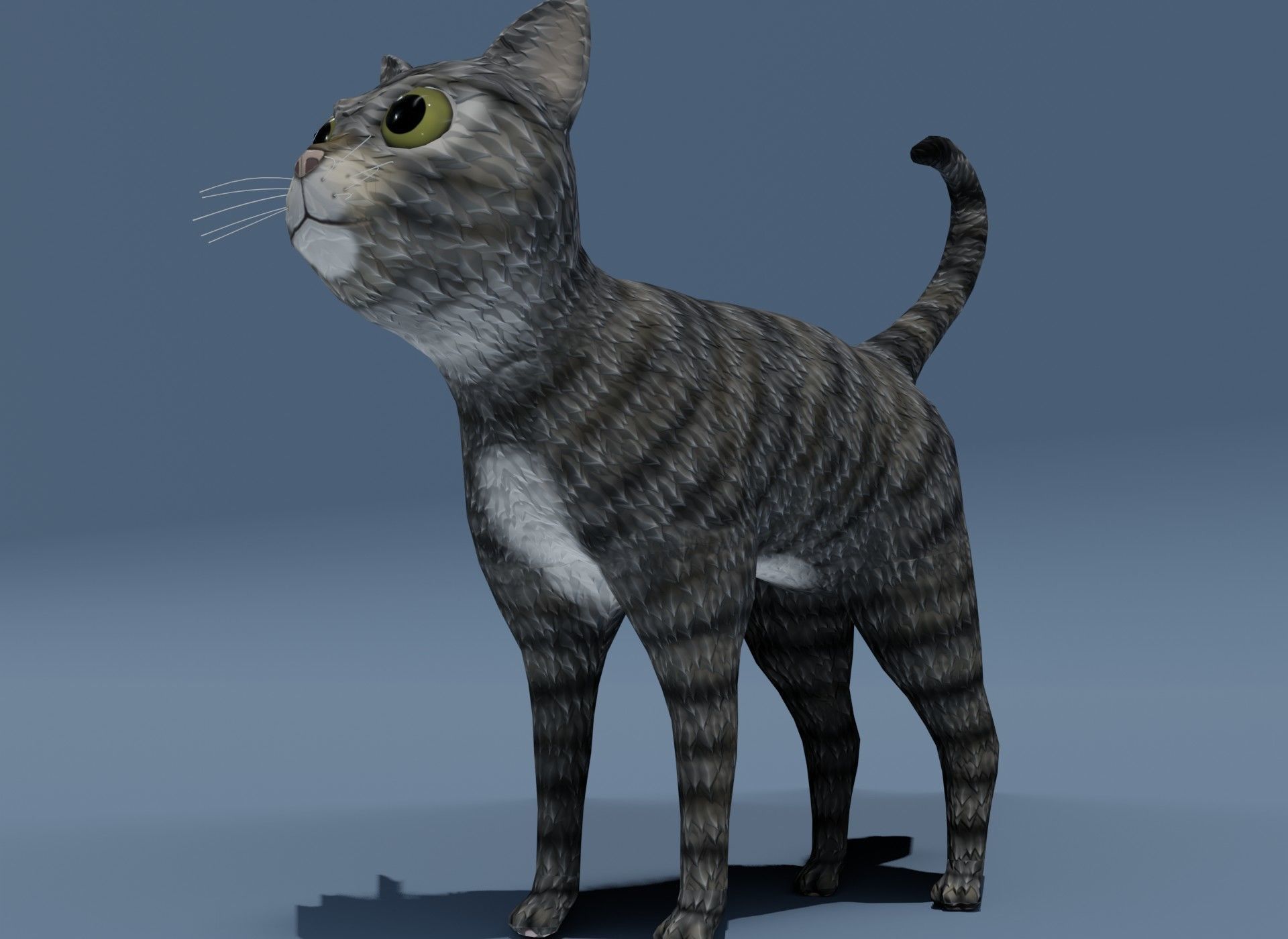 Cartoon Cat Brown Grey Striped 3D Model Low-poly 3D model_15