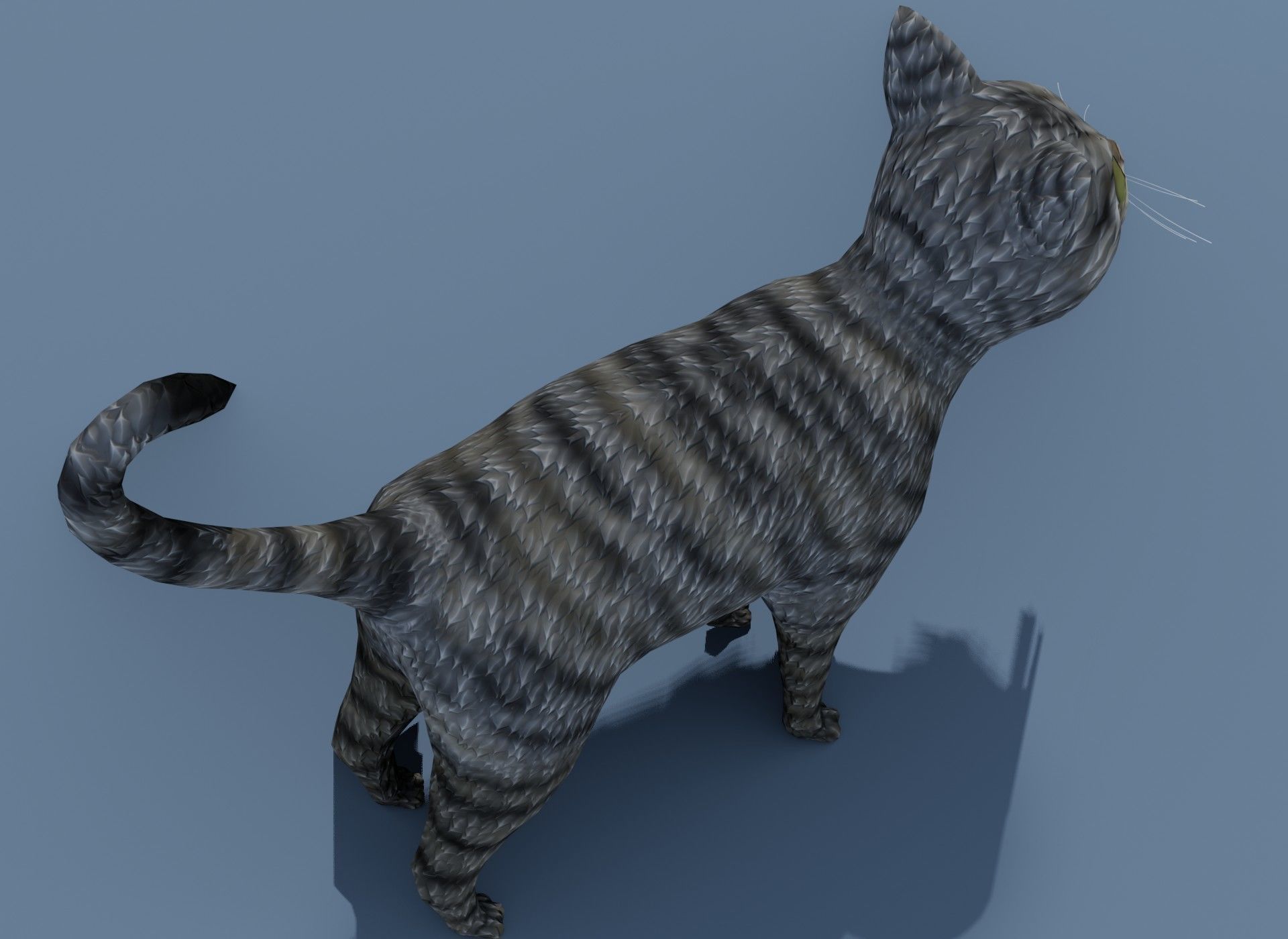 Cartoon Cat Brown Grey Striped 3D Model Low-poly 3D model_20