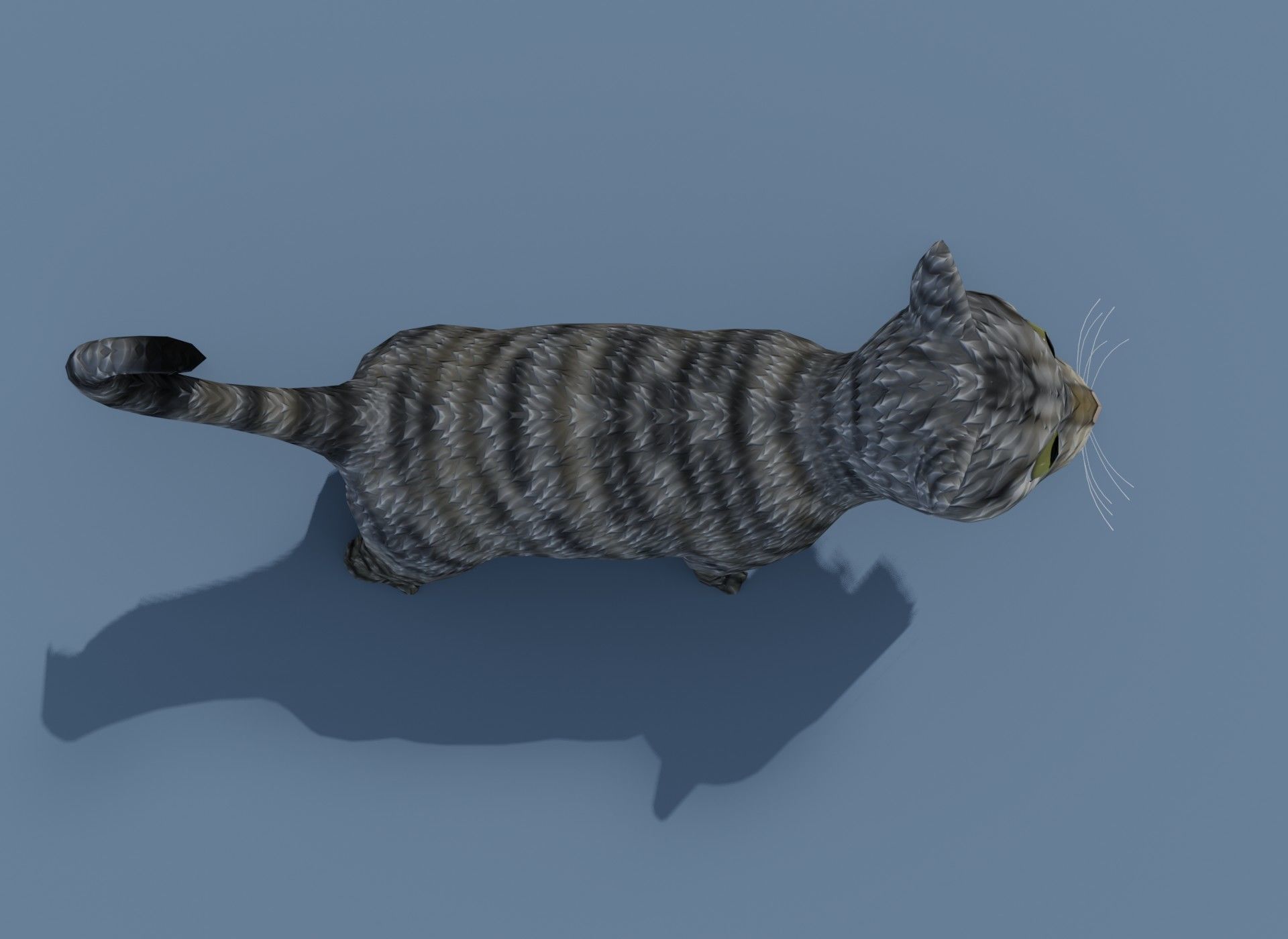 Cartoon Cat Brown Grey Striped 3D Model Low-poly 3D model_19