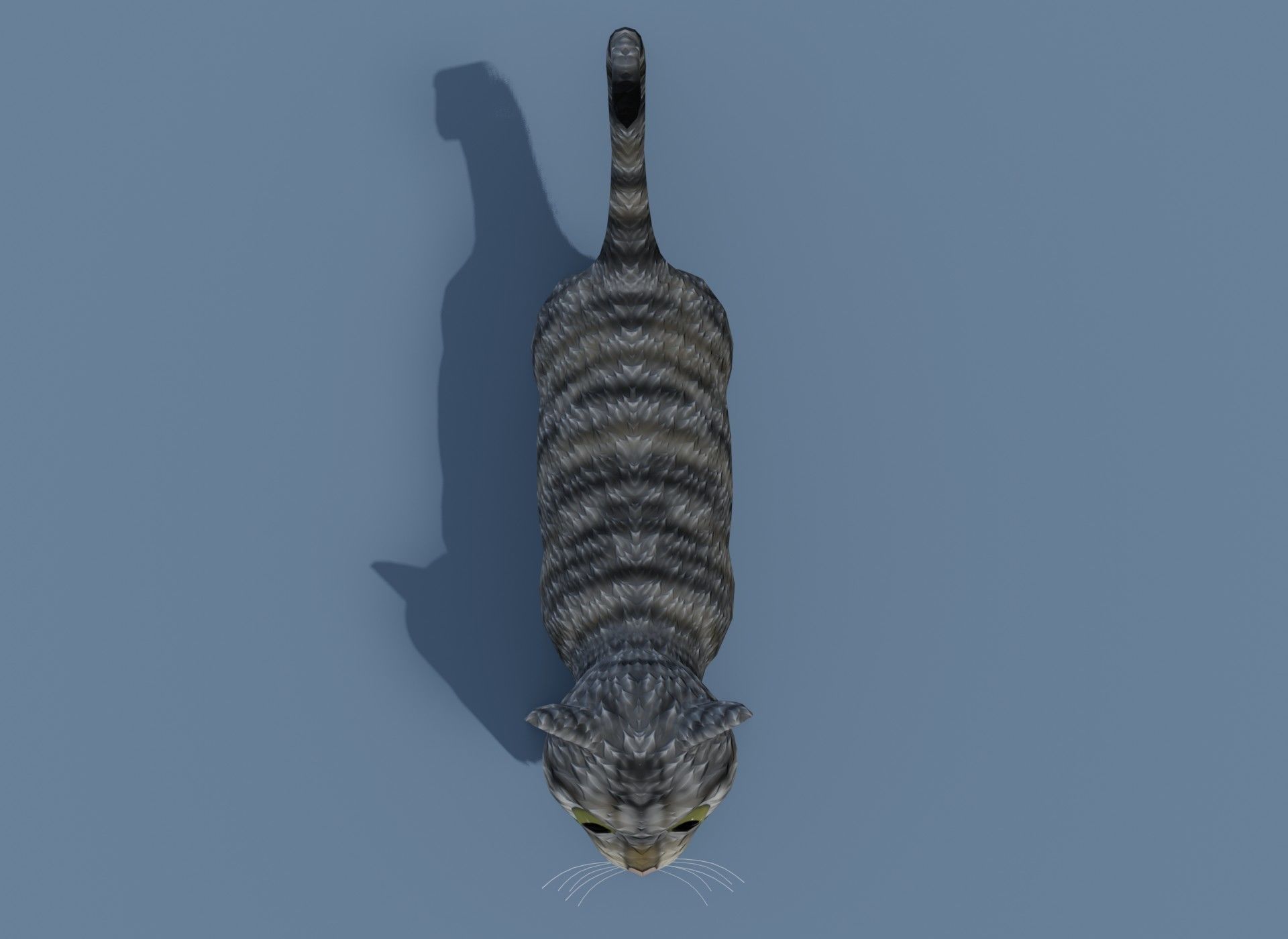 Cartoon Cat Brown Grey Striped 3D Model Low-poly 3D model_12