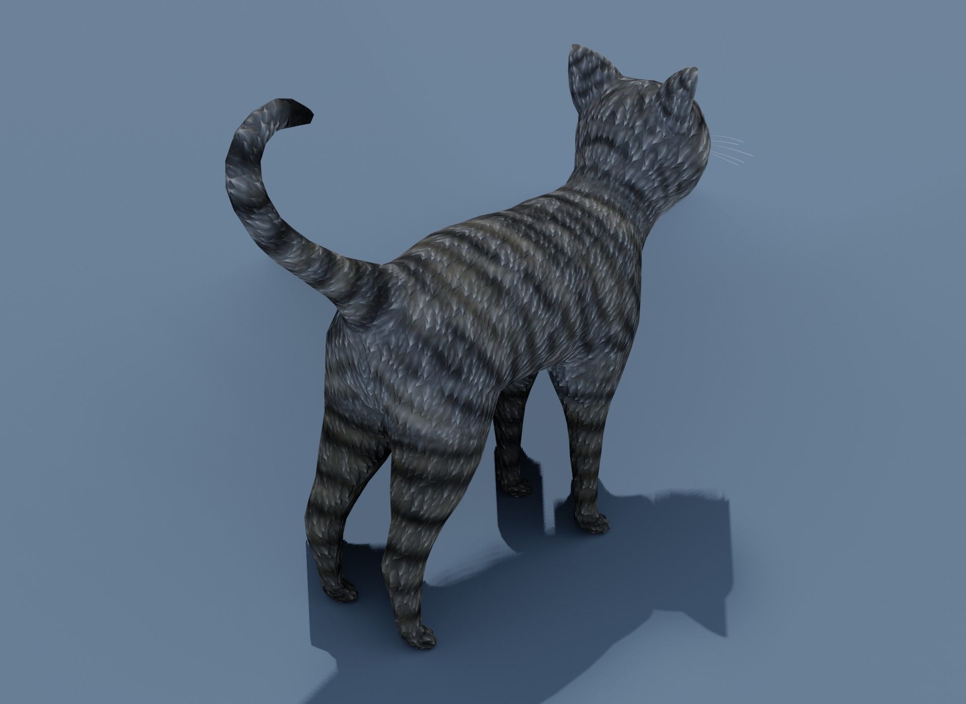 Cartoon Cat Brown Grey Striped 3D Model Low-poly 3D model_17