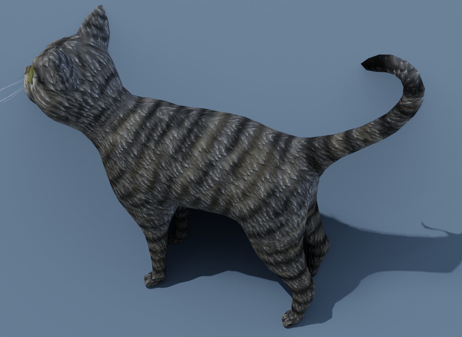 Cartoon Cat Brown Grey Striped 3D Model Low-poly 3D model_16