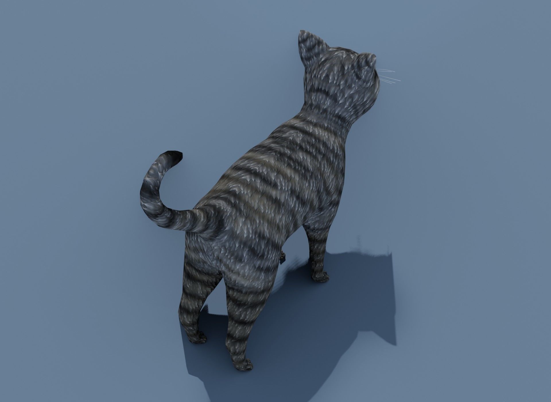 Cartoon Cat Brown Grey Striped 3D Model Low-poly 3D model_8