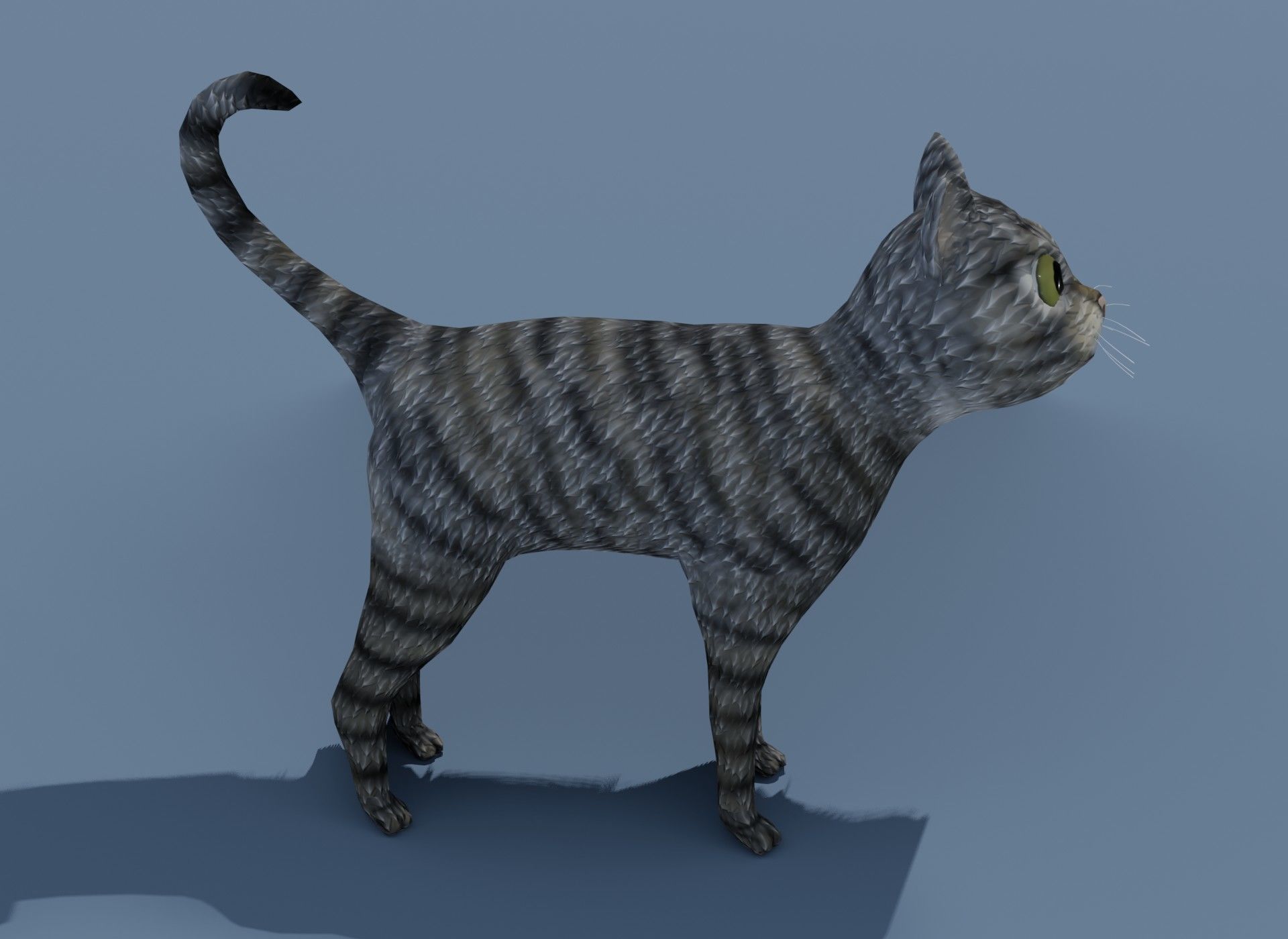 Cartoon Cat Brown Grey Striped 3D Model Low-poly 3D model_3