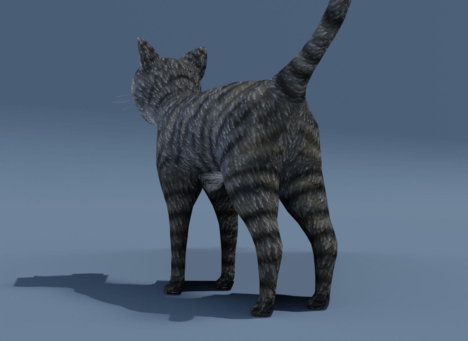 Cartoon Cat Brown Grey Striped 3D Model Low-poly 3D model_5