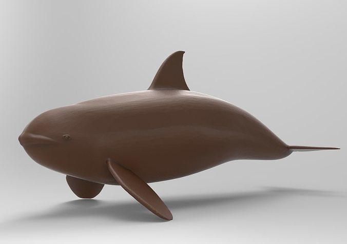 Killer Whale 3D print model