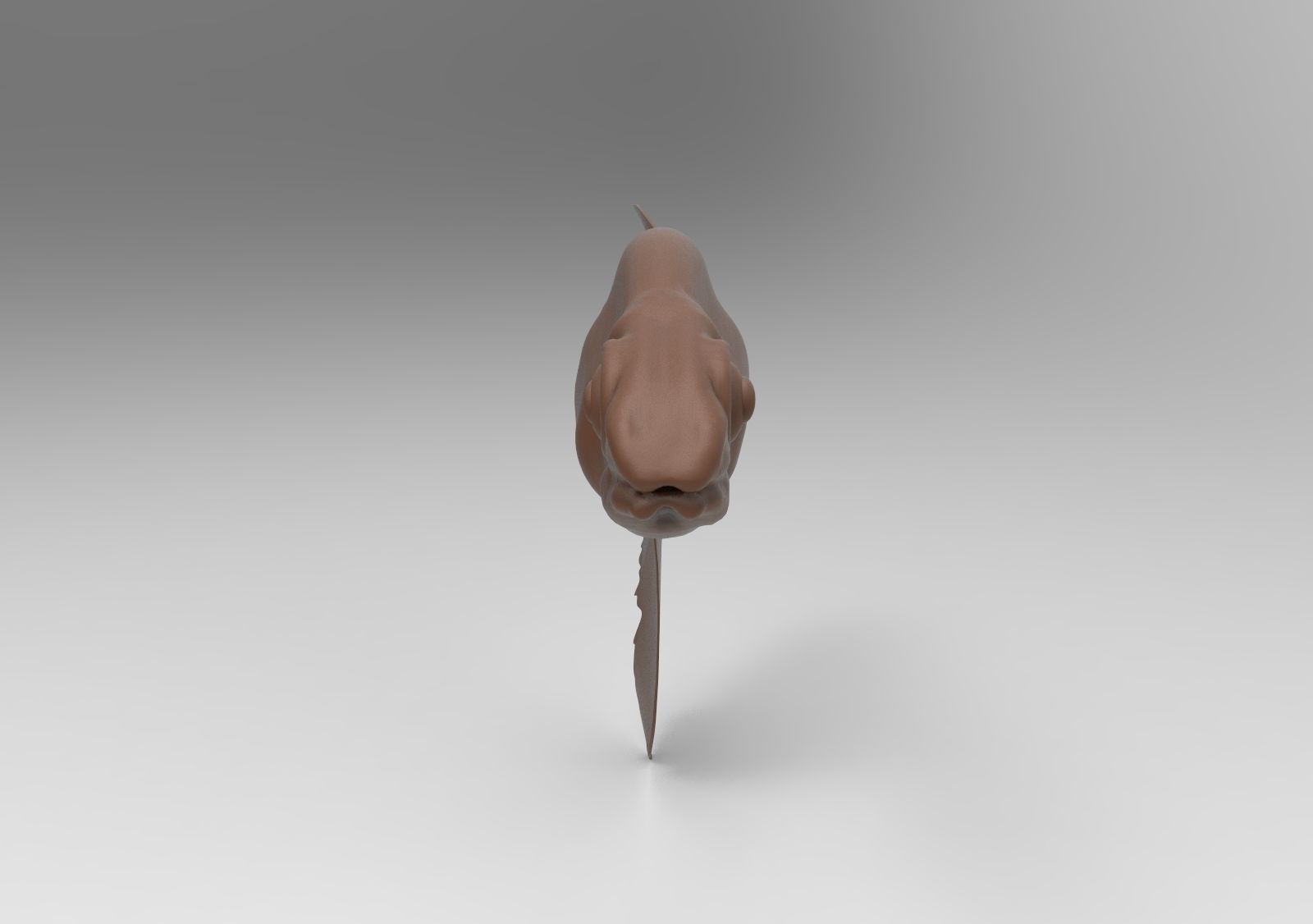 fish mod1 3D print model_1