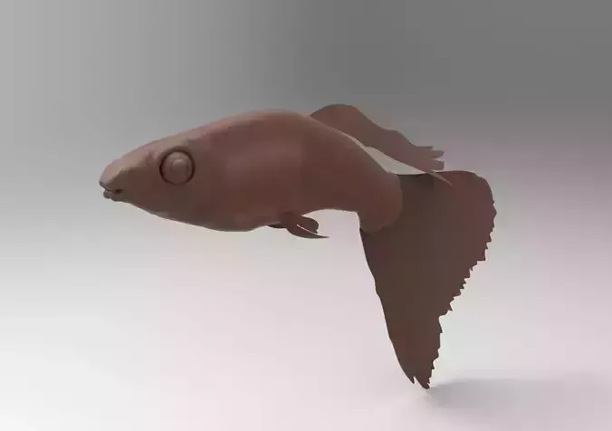 fish mod1 3D print model