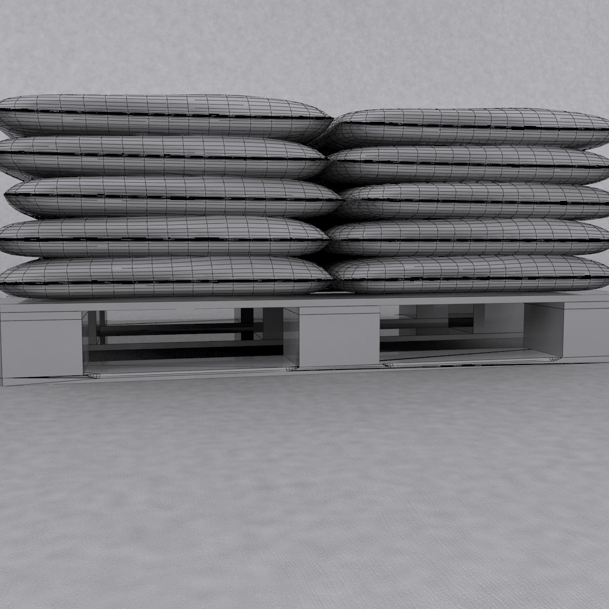 Sacks3D MAX 2011 3D model_9