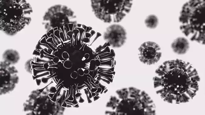 Corona Virus 3d model