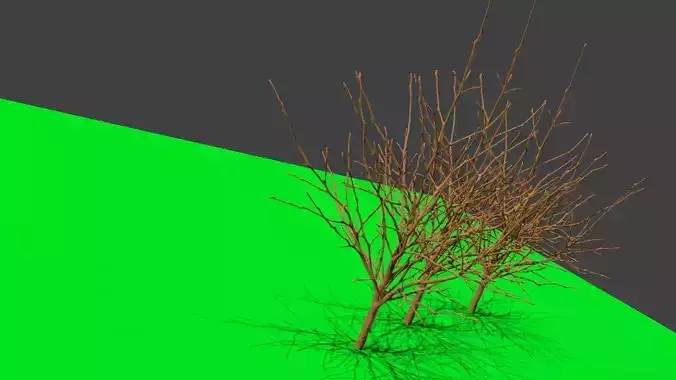  lowpoly tree models