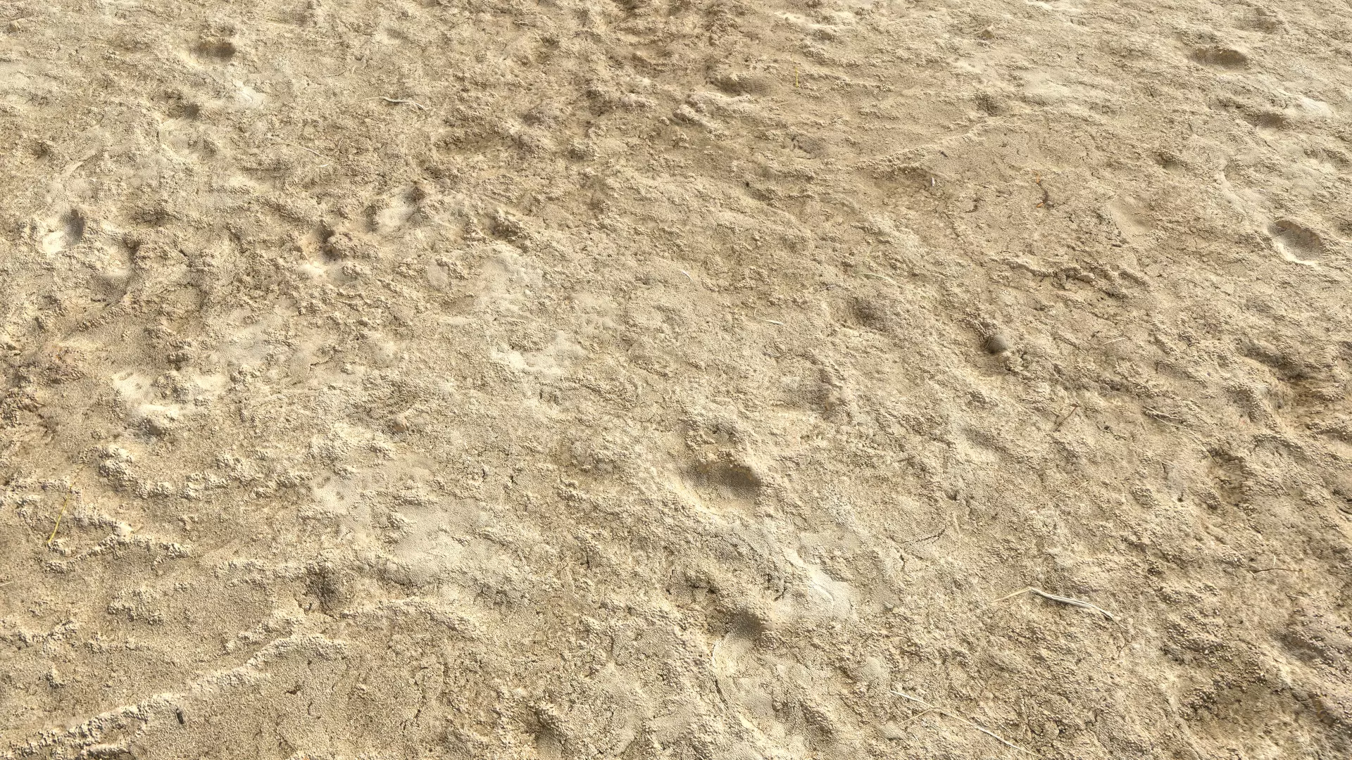 Desert Wasteland ground PBR Pack 4 Texture_0