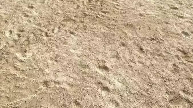 Desert Wasteland ground PBR Pack 4 Texture