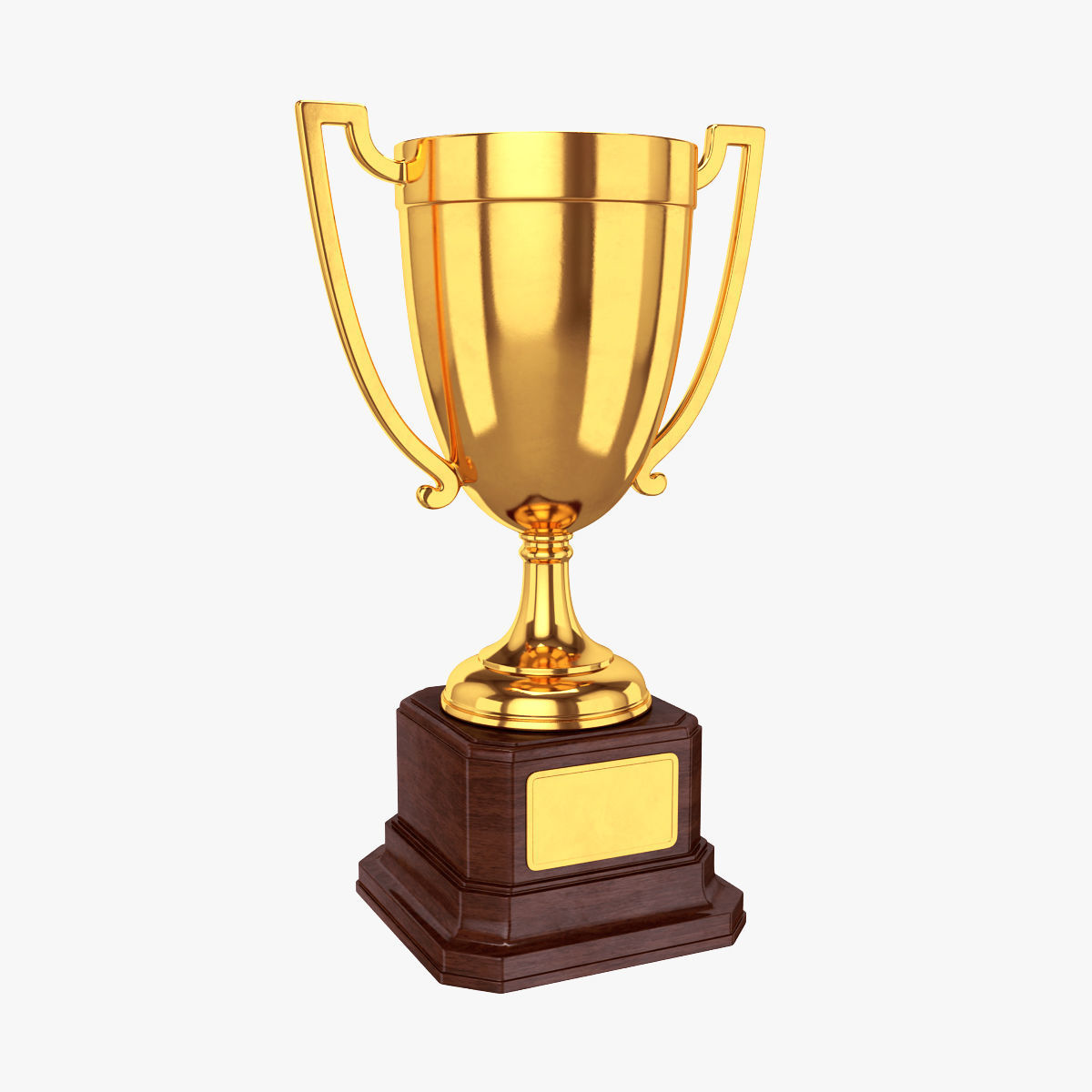 Trophy Cup 3D model_0