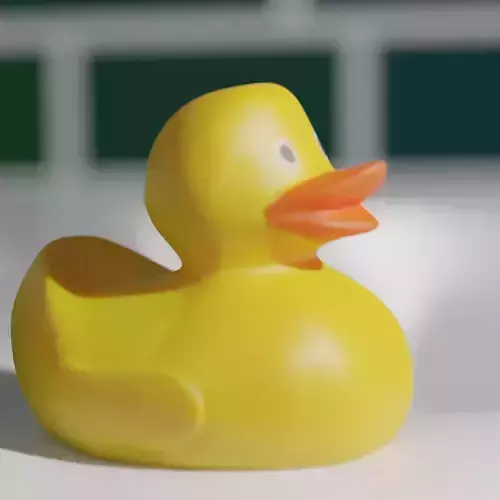 Rubber duck