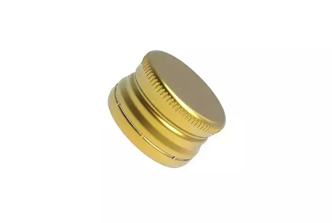 Bottle Screw Cap 3D print model
