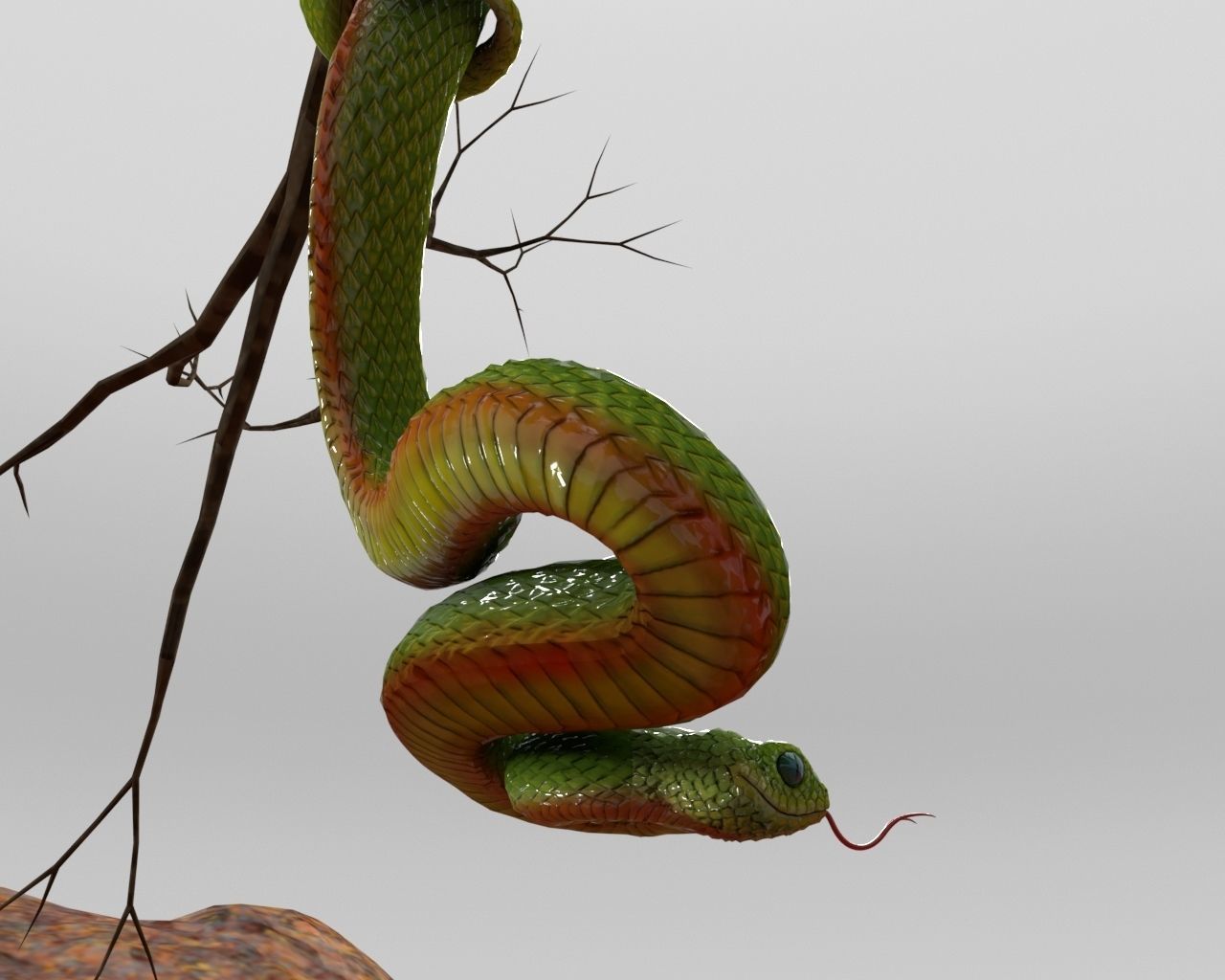 Viper Snake 3D model_3