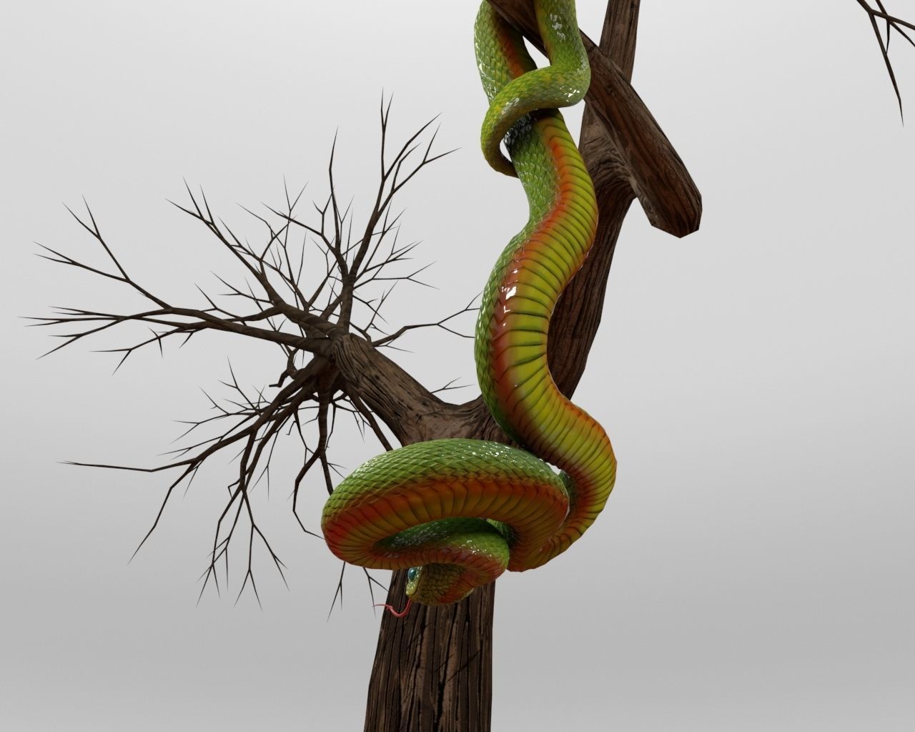 Viper Snake 3D model_2