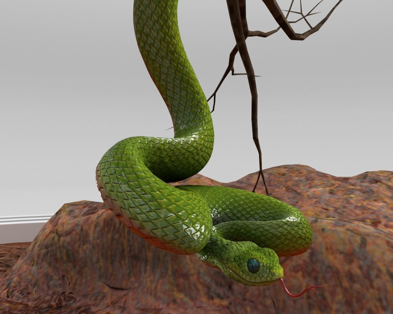 Viper Snake 3D model_4