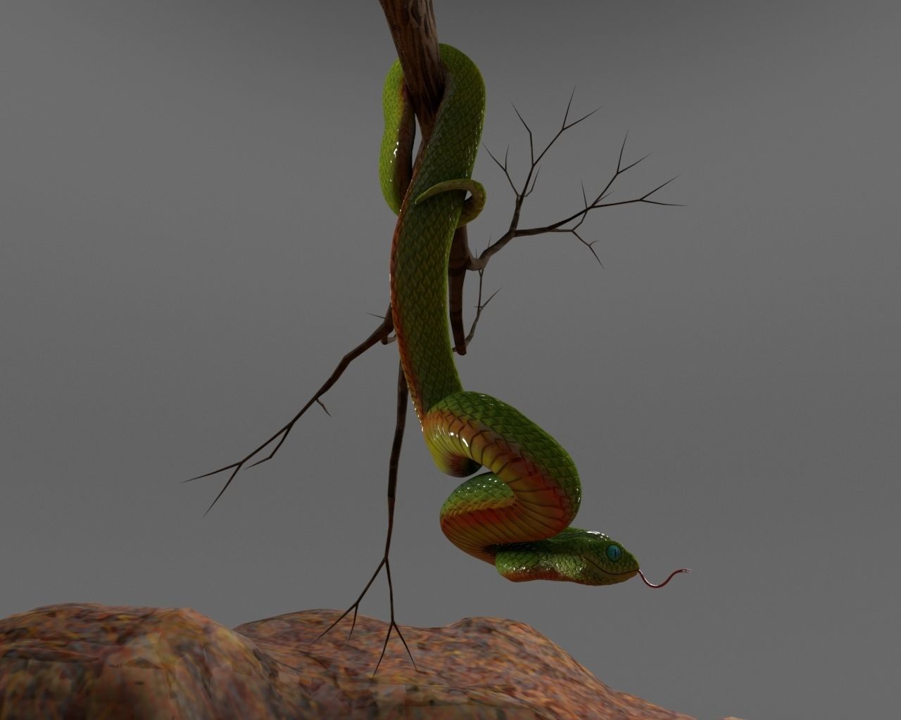 Viper Snake 3D model_6