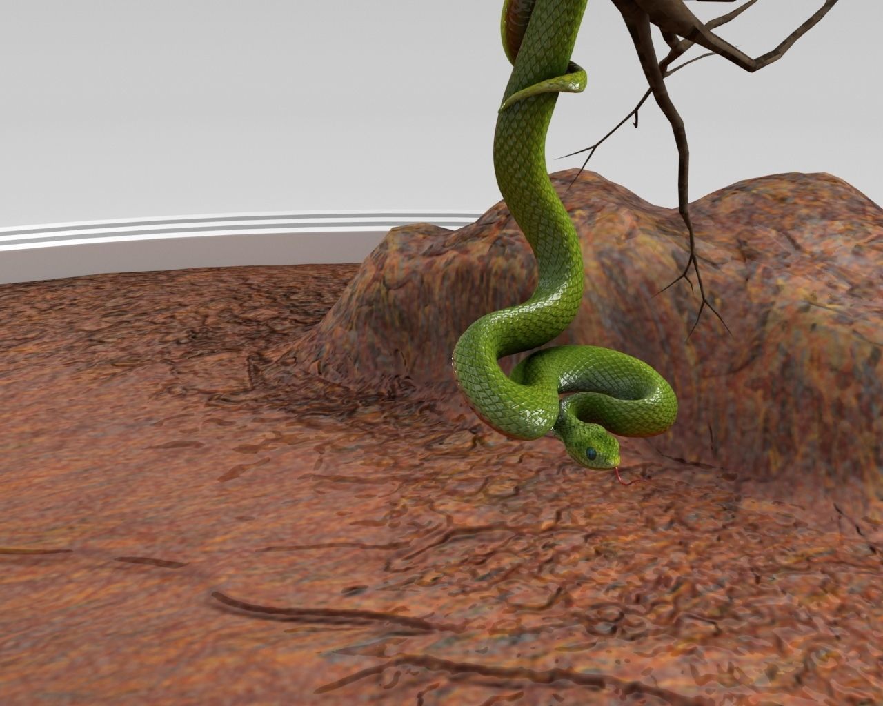 Viper Snake 3D model_5