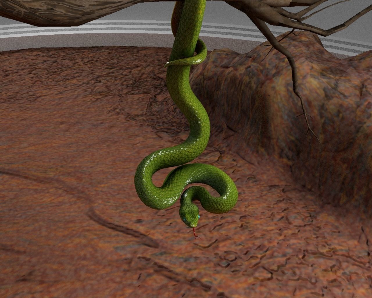 Viper Snake 3D model_7