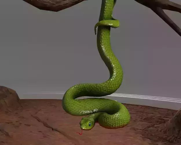 Viper Snake 3D model