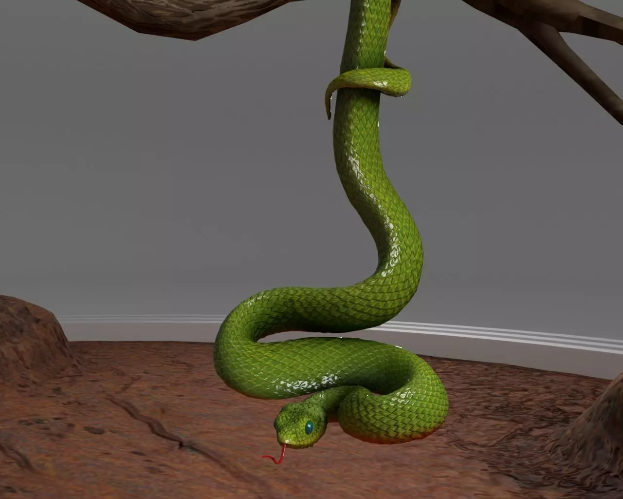 Viper Snake 3D model_0