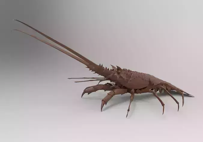 Langouste lobster 3D print model