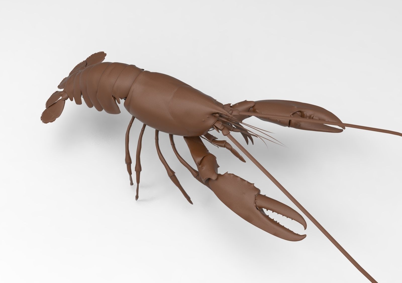 Lobster crayfish 3D print model_6