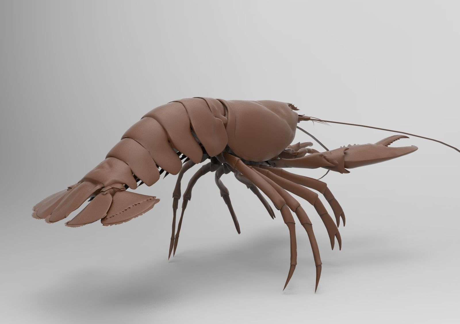 Lobster crayfish 3D print model_3