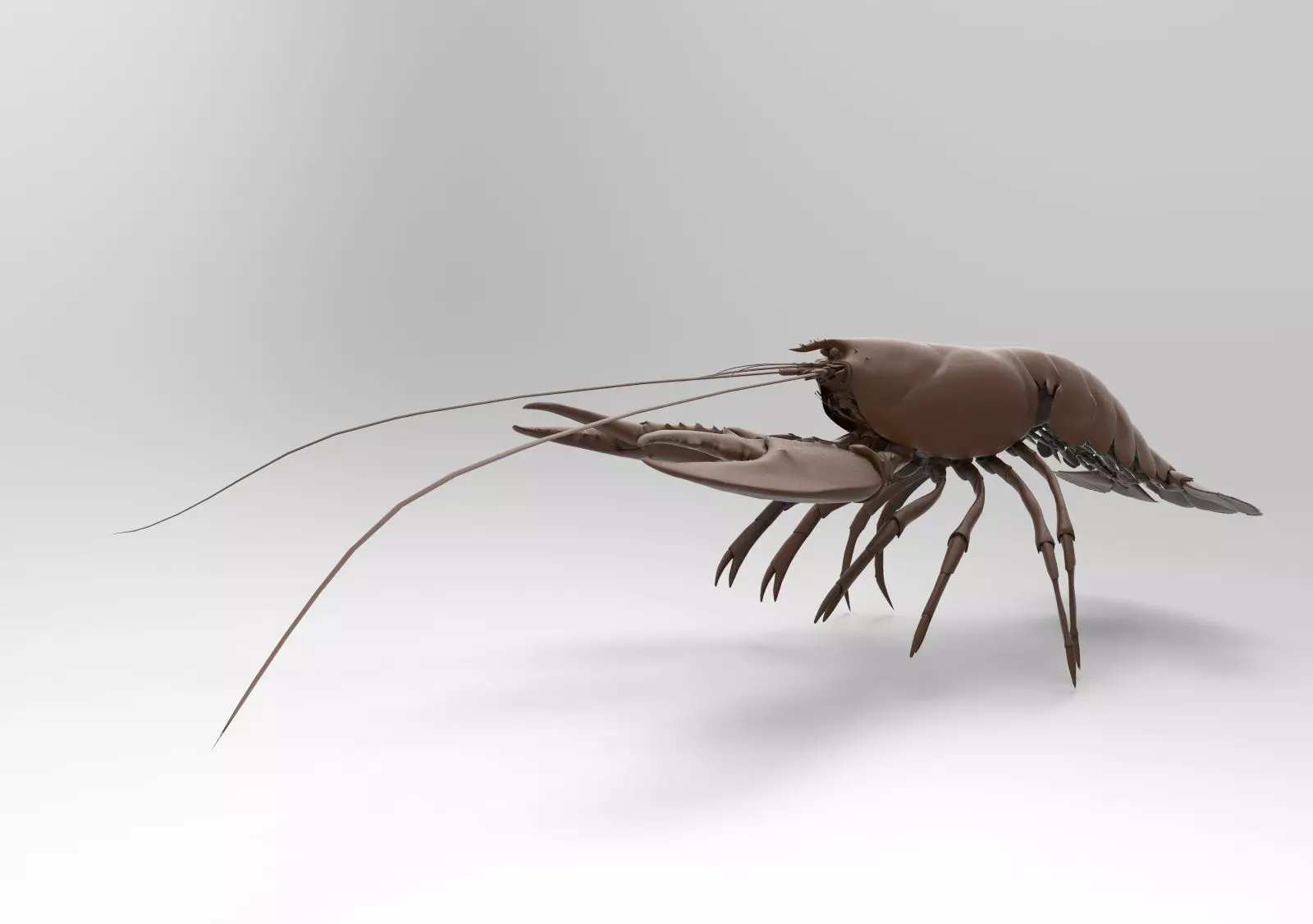 Lobster crayfish 3D print model_0