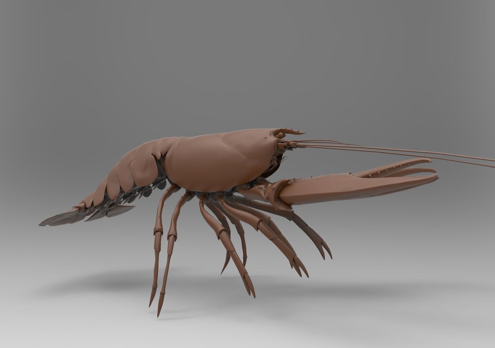 Lobster crayfish 3D print model_2