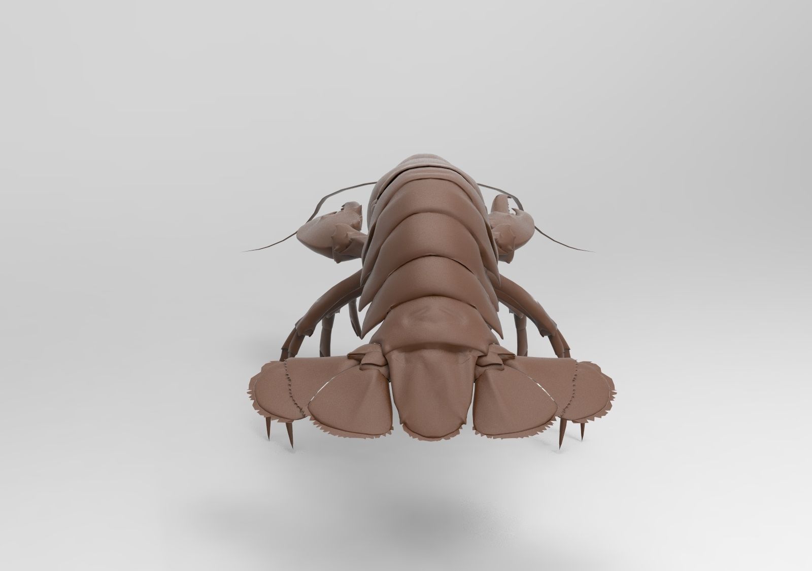 Lobster crayfish 3D print model_4