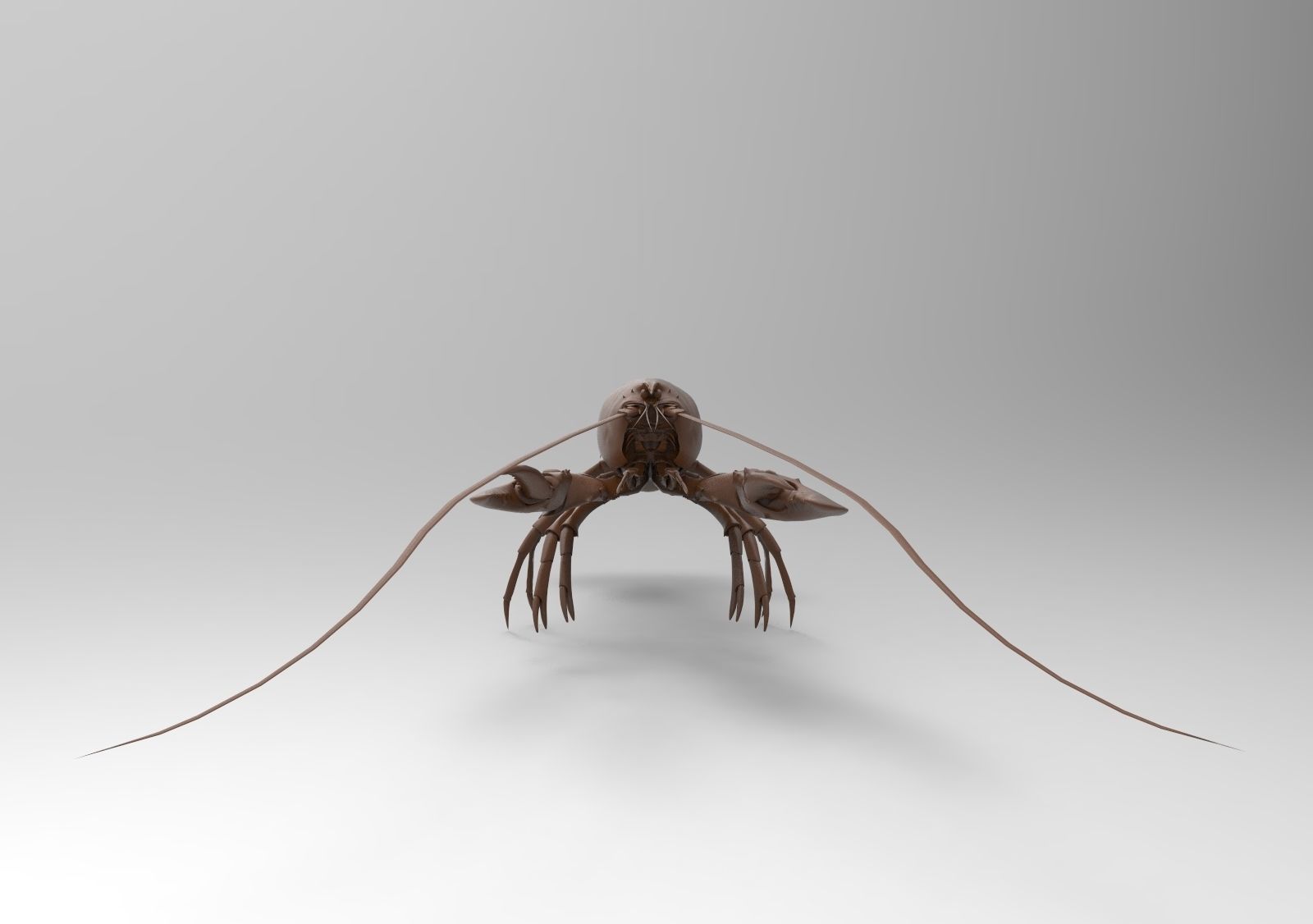 Lobster crayfish 3D print model_1