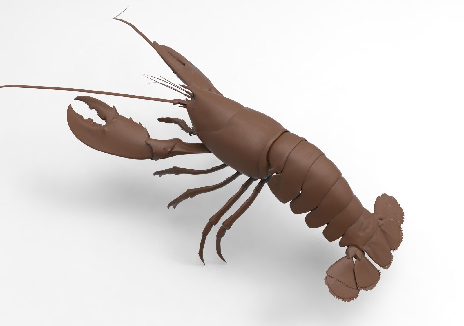 Lobster crayfish 3D print model_5