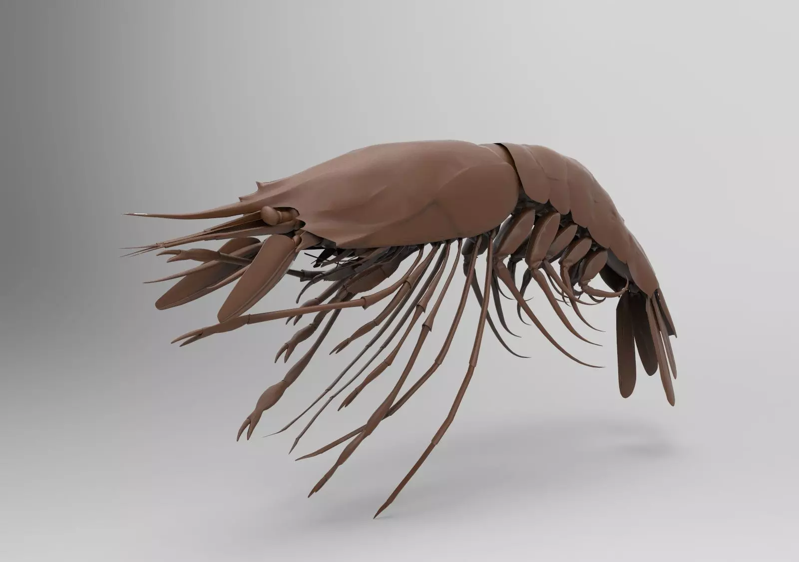 shrimp sculpture of squid with long tentacles 3D print model