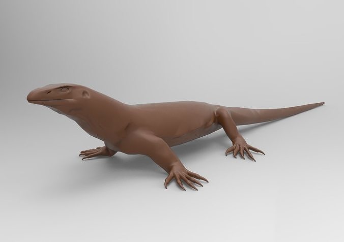 Bearded Dragon 3D print model