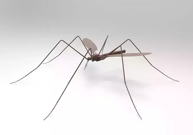 Mosquito 3D print model