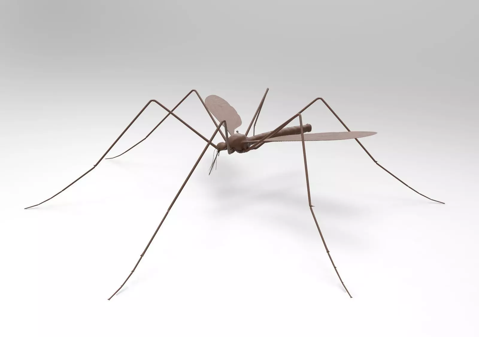 Mosquito 3D print model_0