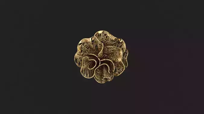 AR-TRK-Z031 gold ring