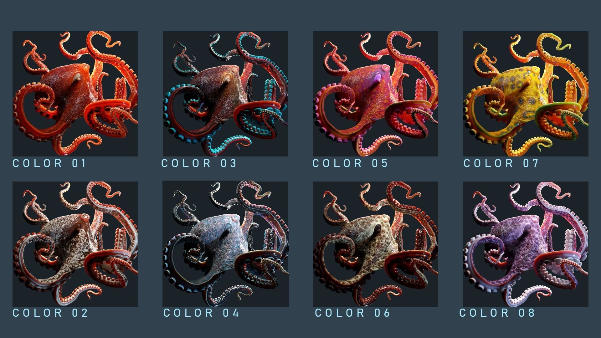 Octopus Mega Pack Low-poly 3D model_6