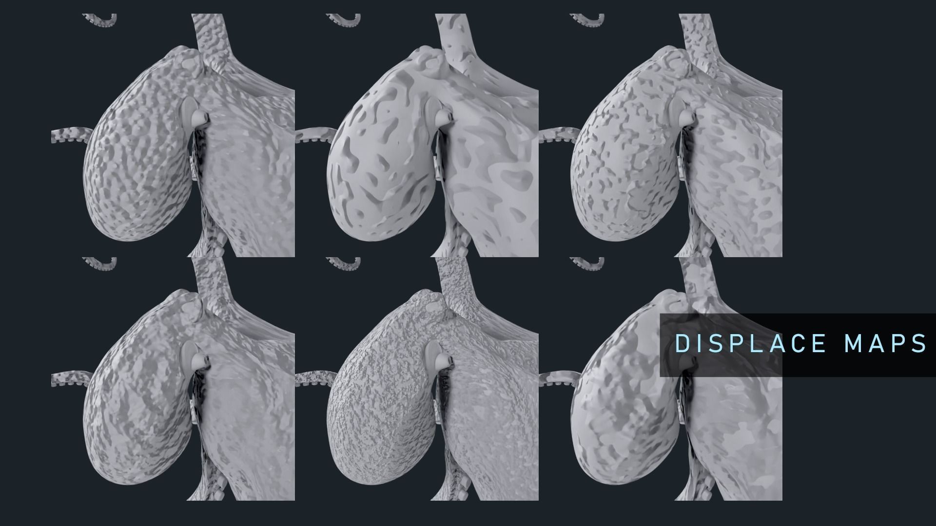 Octopus Mega Pack Low-poly 3D model_9