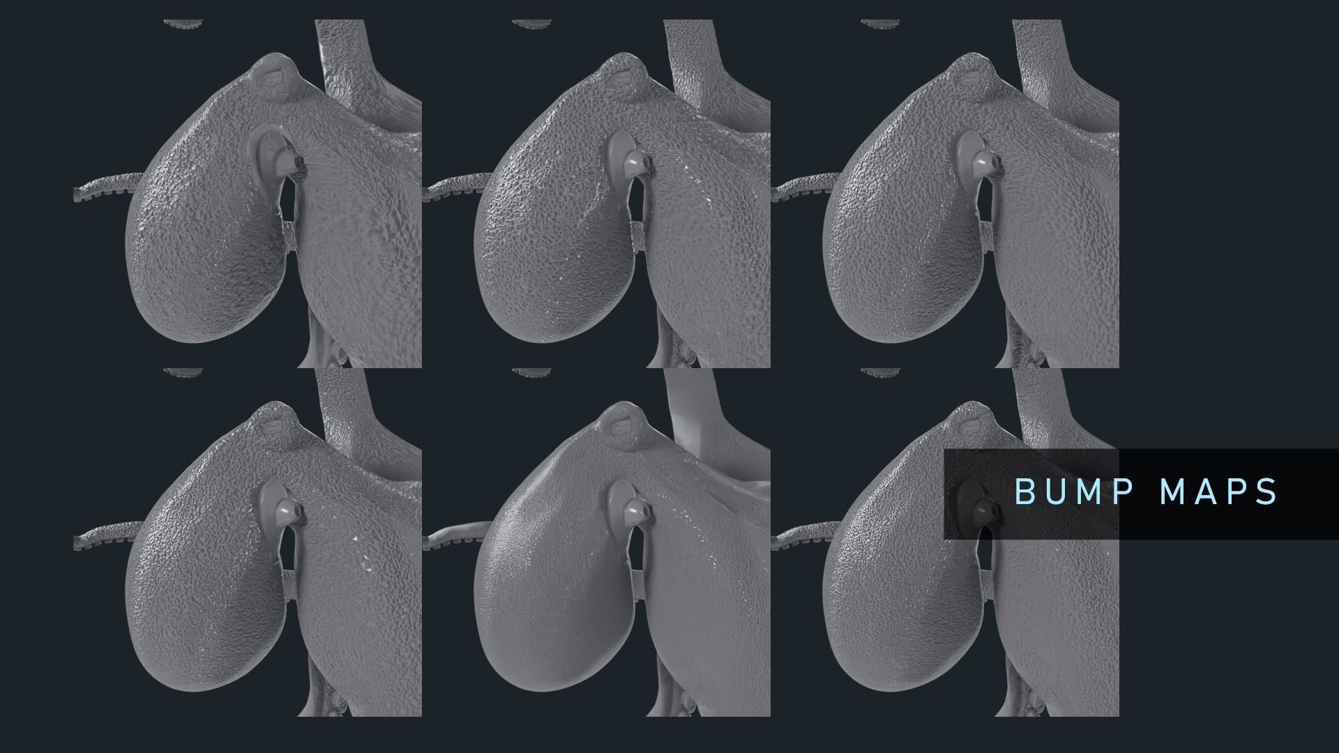 Octopus Mega Pack Low-poly 3D model_8