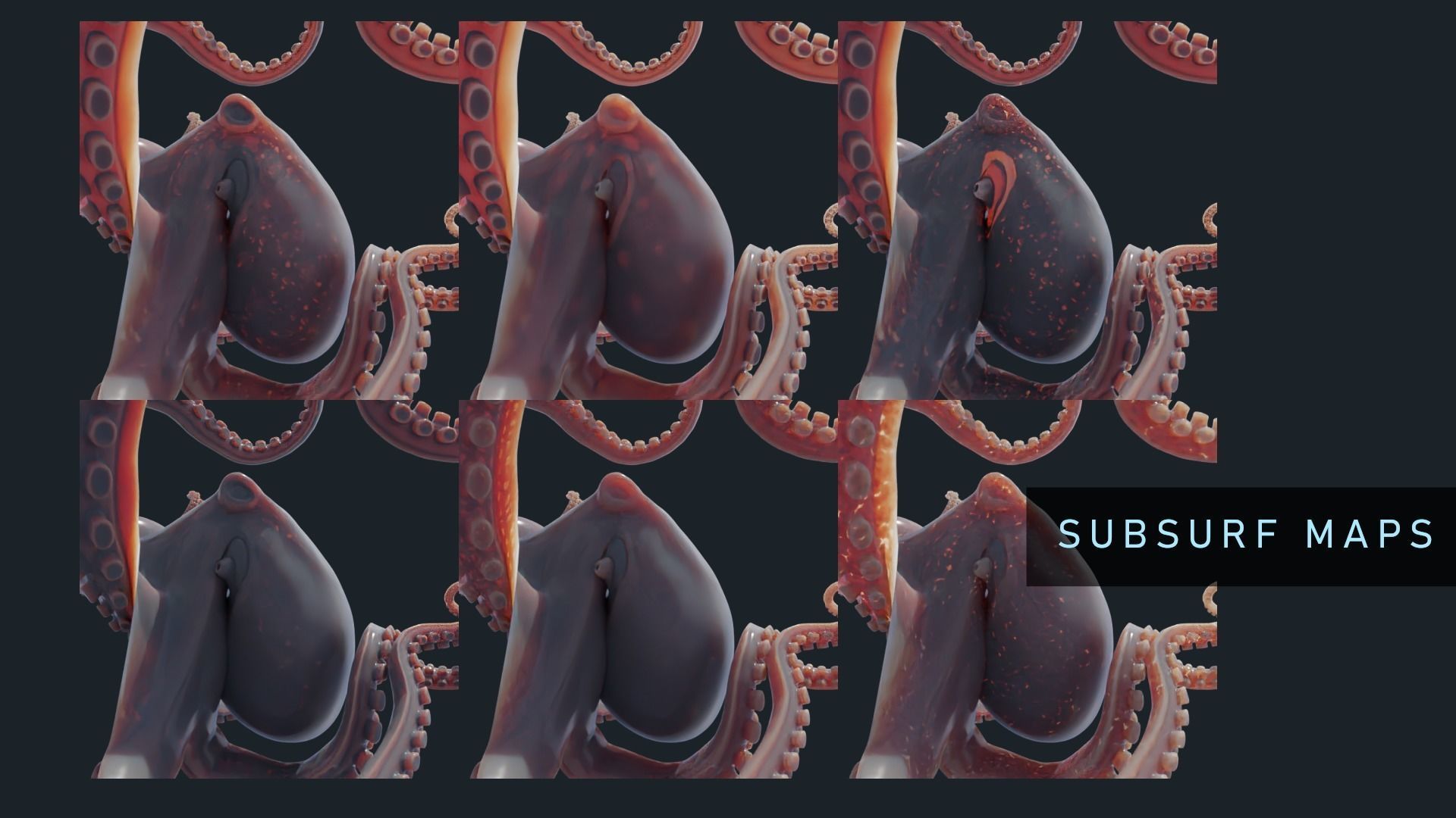 Octopus Mega Pack Low-poly 3D model_7