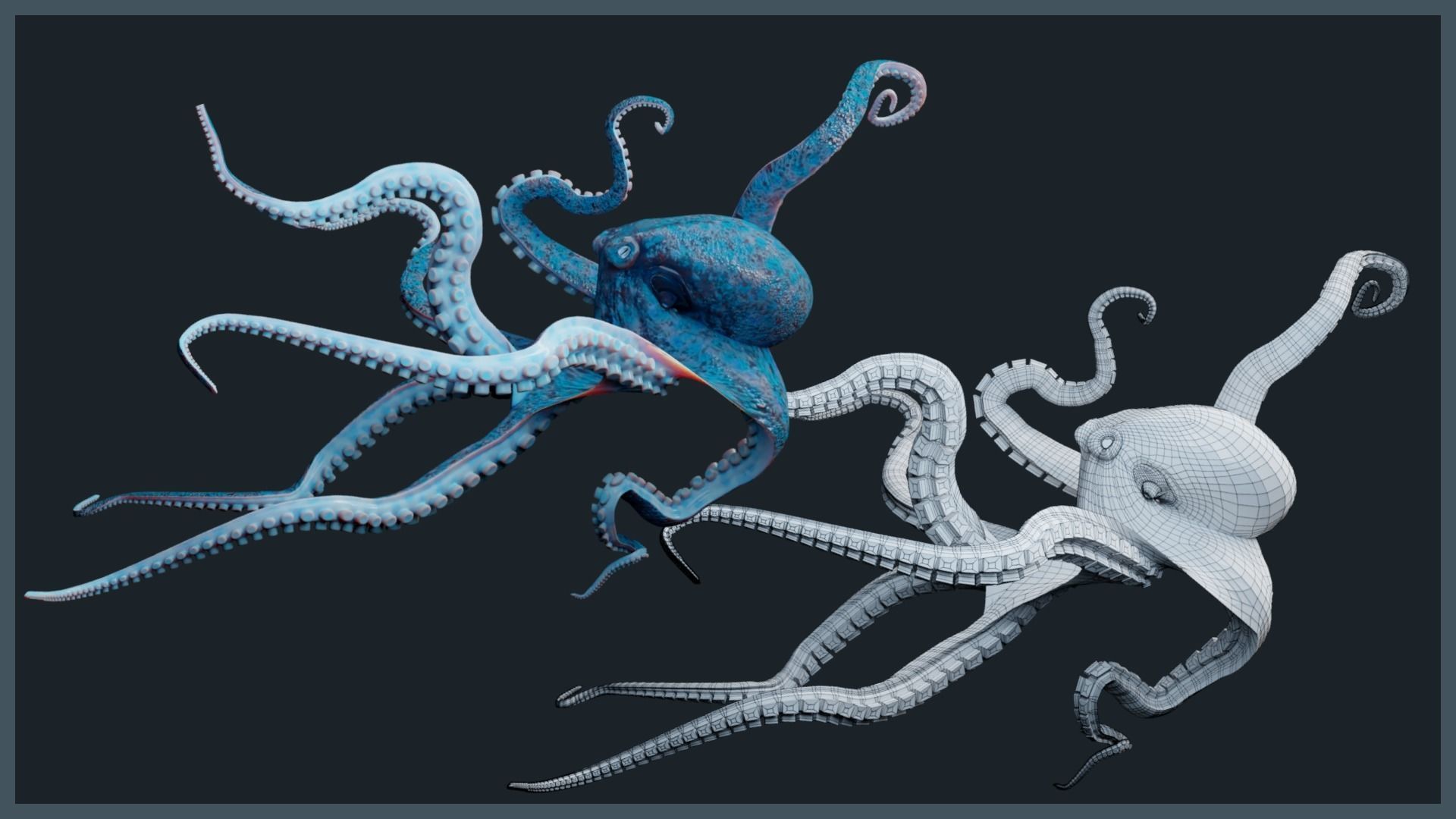 Octopus Mega Pack Low-poly 3D model_17
