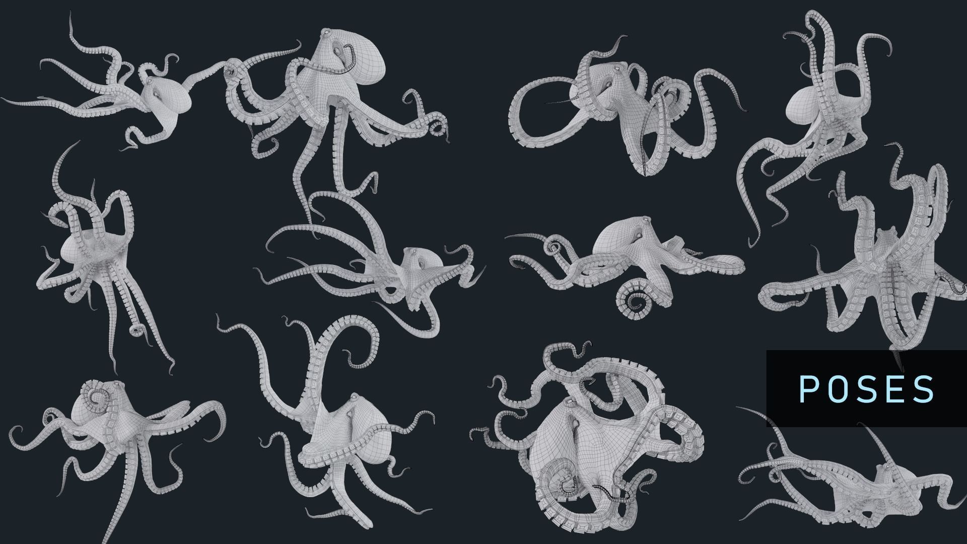 Octopus Mega Pack Low-poly 3D model_10