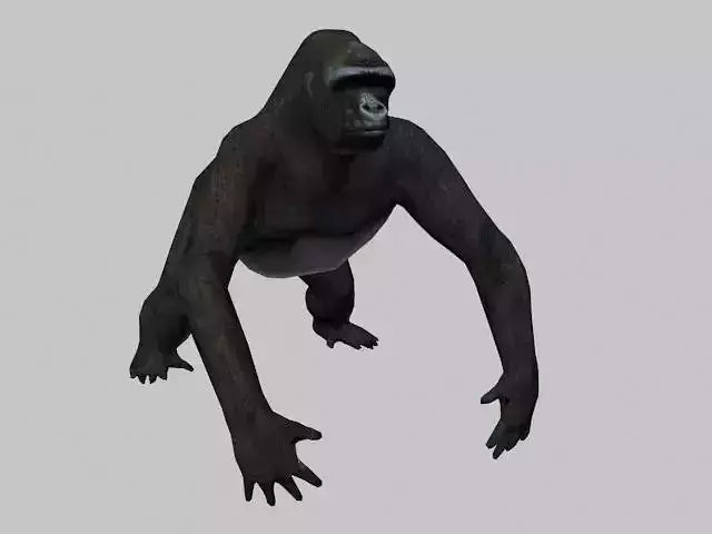 GORILLA LOW LOPY 3D model